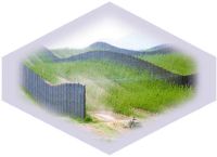 windred.-afb-4.jpg