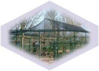 Vogelnet-2.jpg
